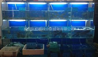 揚(yáng)州慶亞 從海鮮玻璃魚(yú)缸制作到美發(fā)飾品銷(xiāo)售，專(zhuān)業(yè)匠心贏得市場(chǎng)口碑